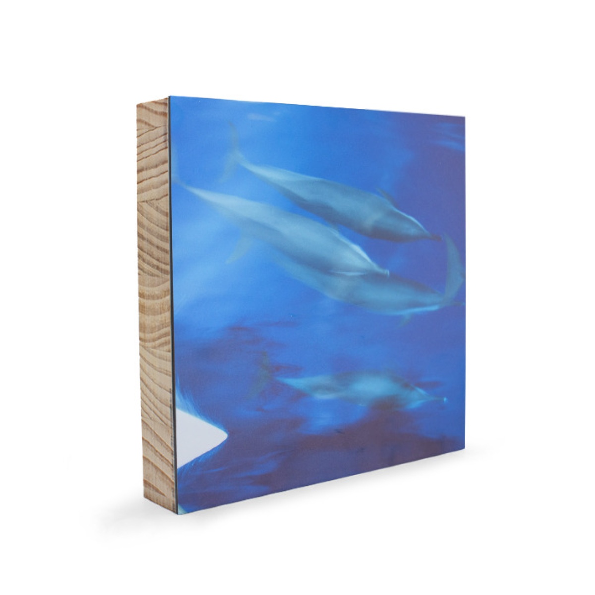  sv101 cuadro madera the ocean race souvenir tor